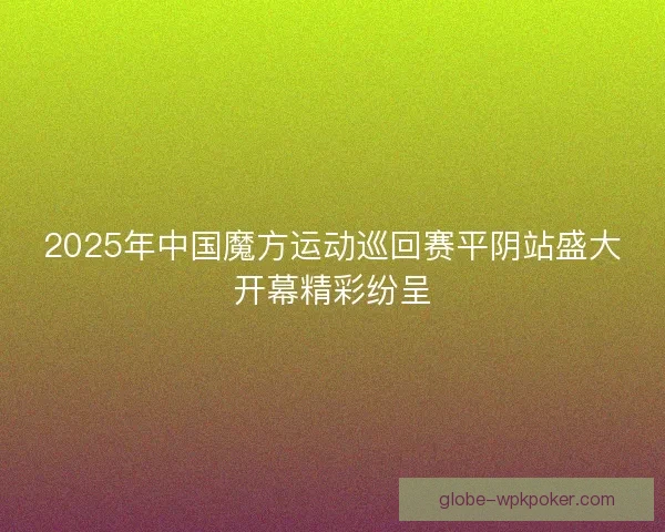2025年中国魔方运动巡回赛平阴站盛大开幕精彩纷呈